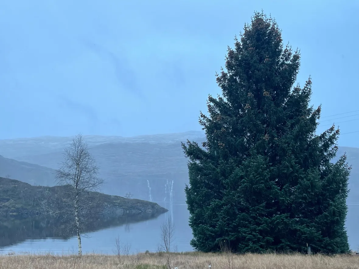Bilde av høsten i Kvitingen