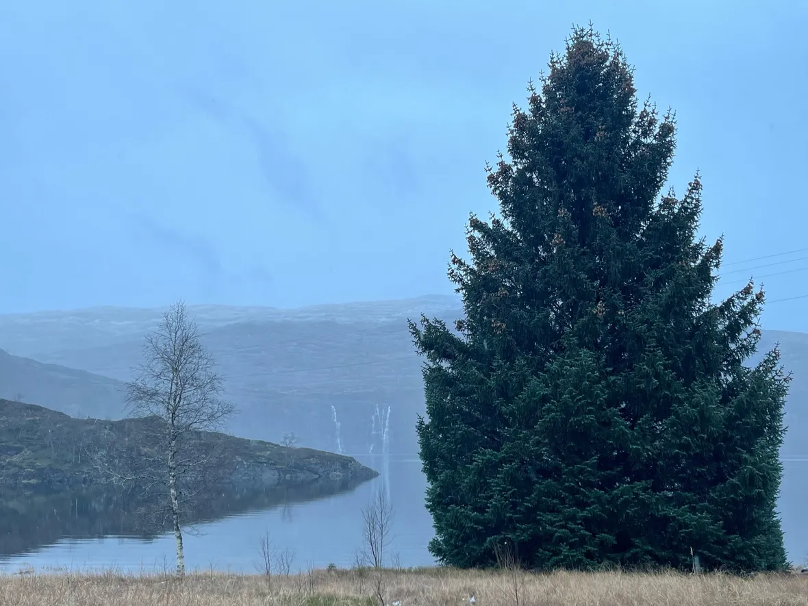 Bilde av høsten i Kvitingen