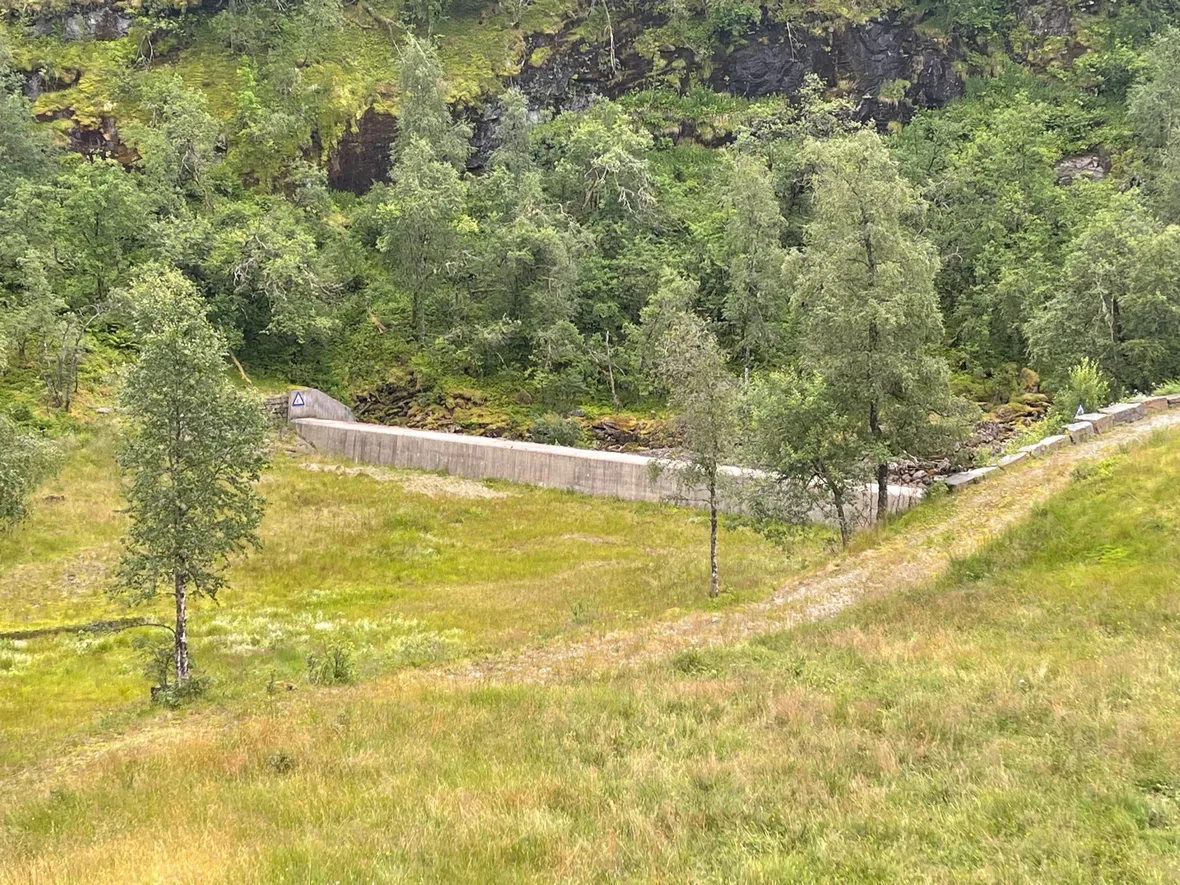 Bilde av sommer i Kvitingen