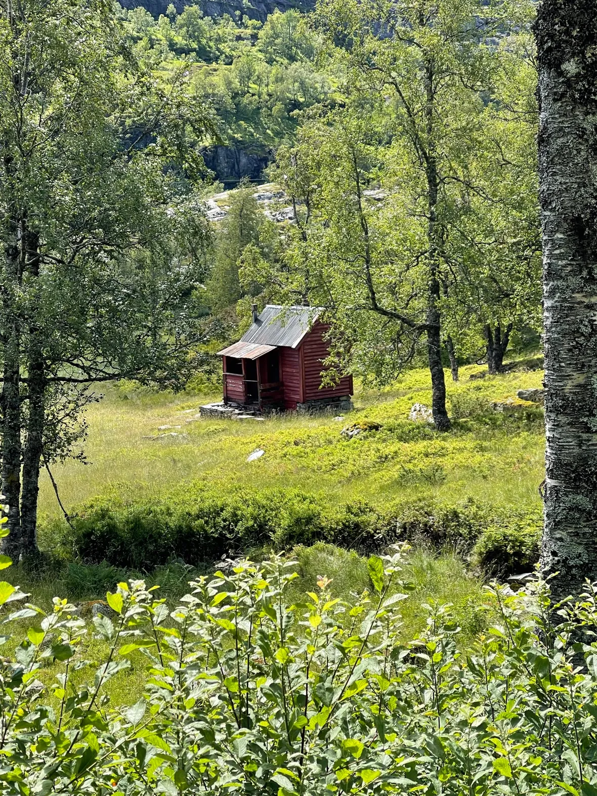 Bilde av sommer i Kvitingen