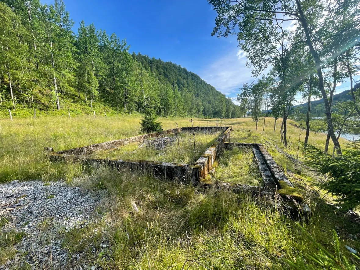 Bilde av sommer i Kvitingen