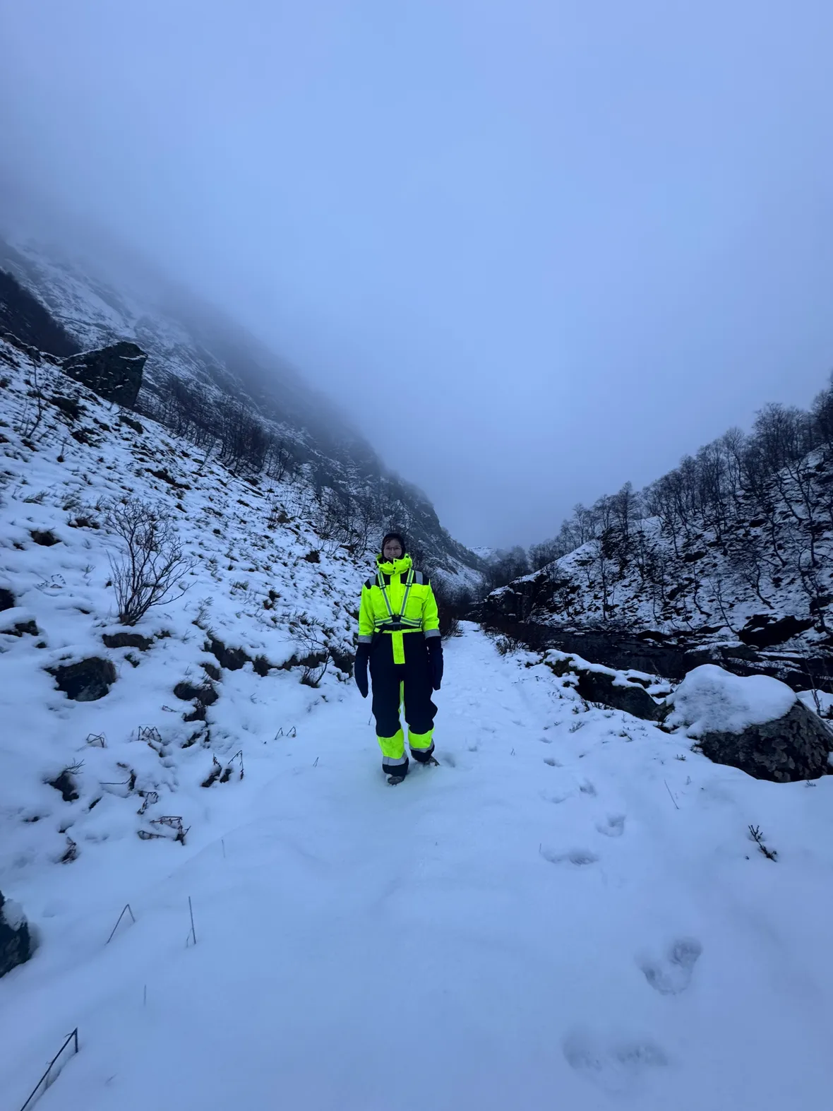 Bilde av vinter i Kvitingen