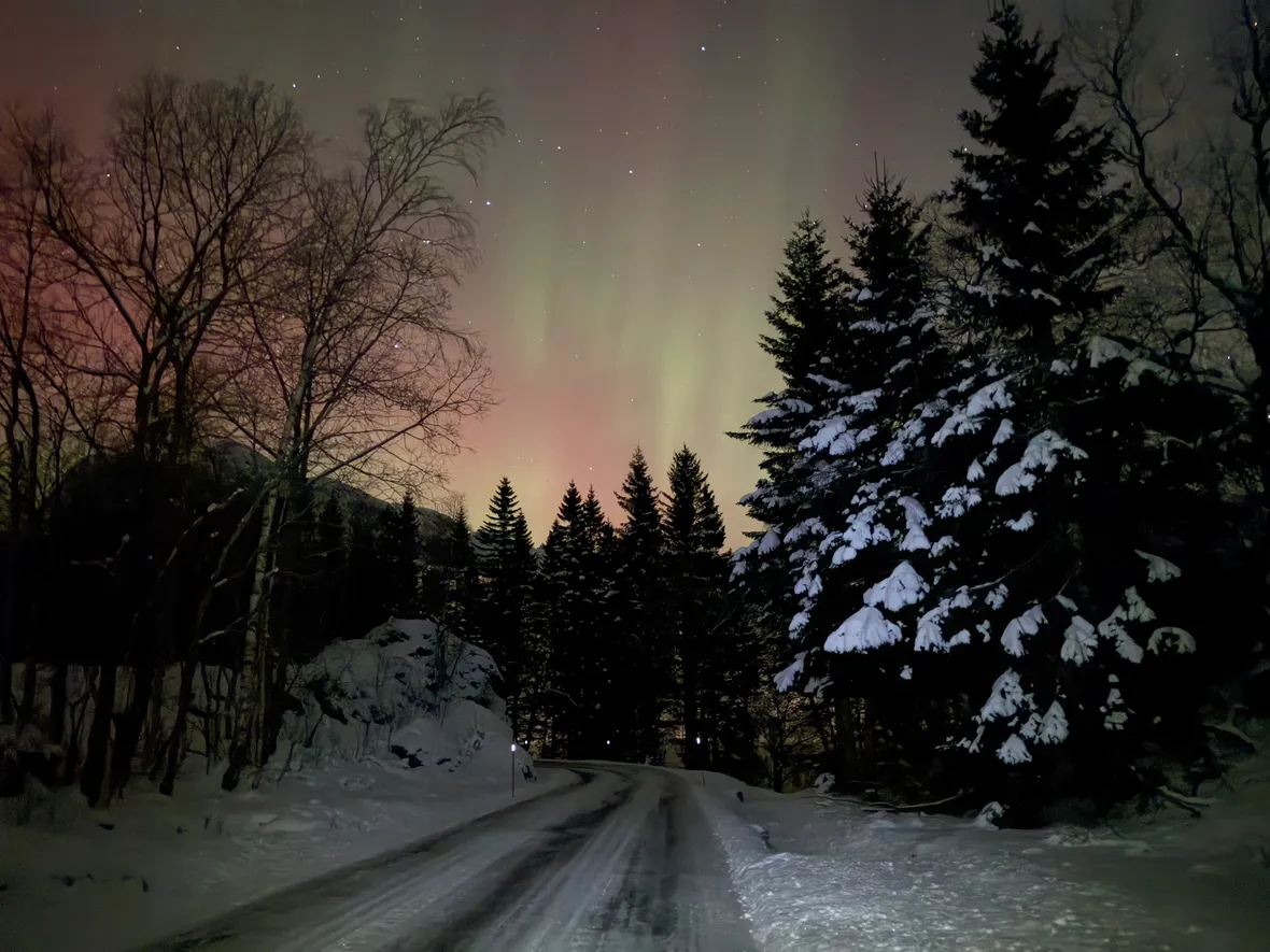 Bilde av vinter i Kvitingen