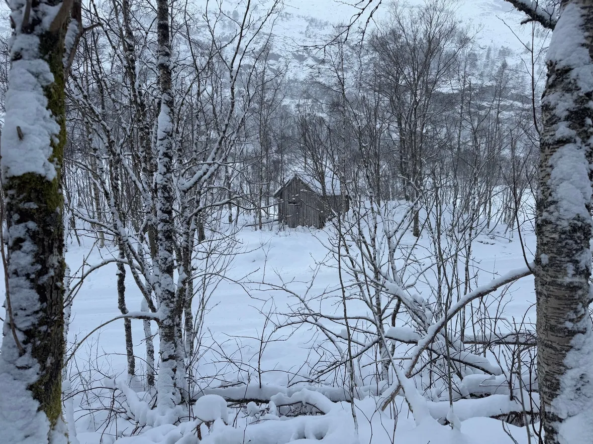 Bilde av vinter i Kvitingen