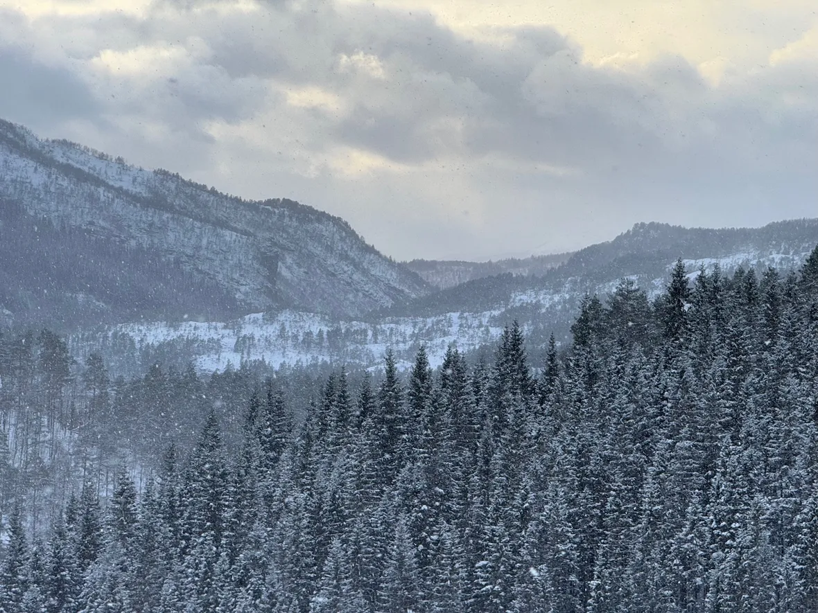 Bilde av vinter i Kvitingen