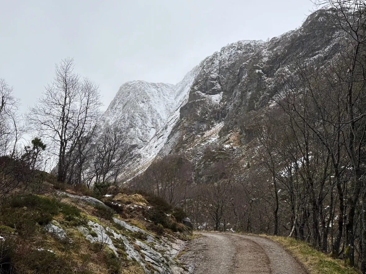 Bilde av vinter i Kvitingen